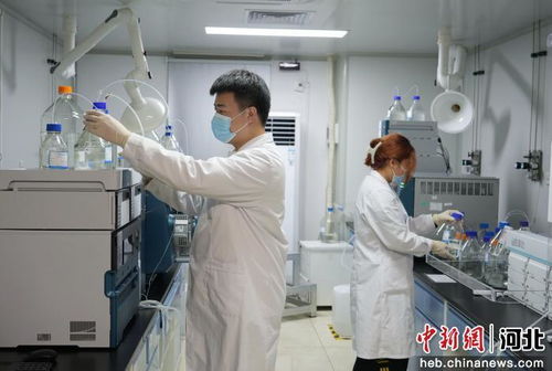 廊坊市積極引進(jìn)京津創(chuàng)新資源，賦能生物醫(yī)藥研發(fā)產(chǎn)業(yè)高質(zhì)量發(fā)展